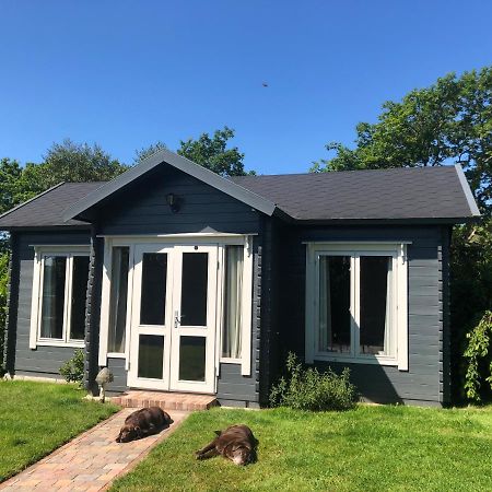 Modern Summerhouse Lymington Dış mekan fotoğraf